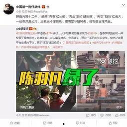 美国发视频爆料犯法吗,视频爆料是否触犯法律？