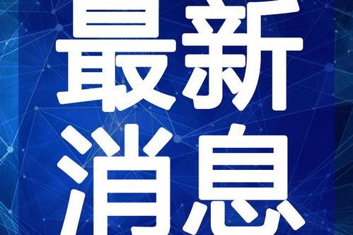 最新爆料王大炮视频,揭秘背后惊人真相! 第3张 最新爆料王大炮视频,揭秘背后惊人真相! 第3张