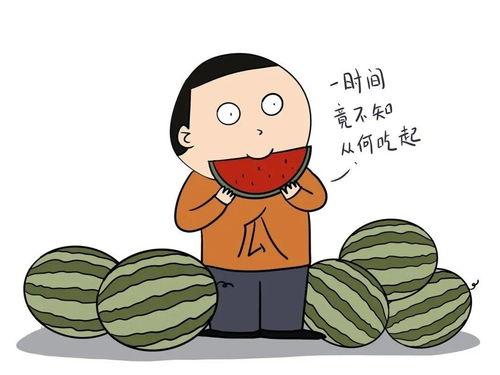 免费请吃瓜的说说,揭秘网络热传的神秘现象 第1张 免费请吃瓜的说说,揭秘网络热传的神秘现象 第1张