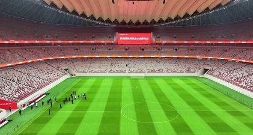 西安足球场爆料视频最新 第1张 西安足球场爆料视频最新 第1张